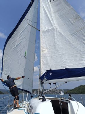 Pajo leptir
